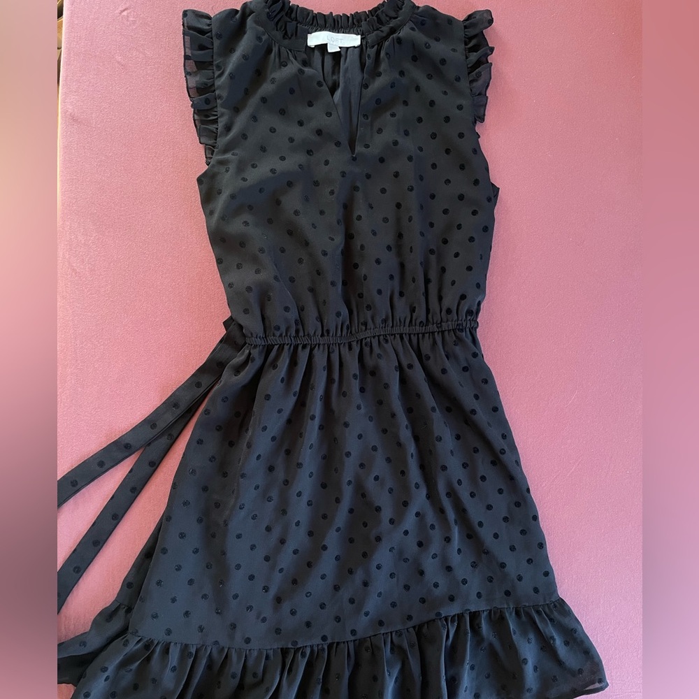 LOFT Black Polka Dot Dress
